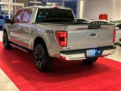 فۆرد F-150
